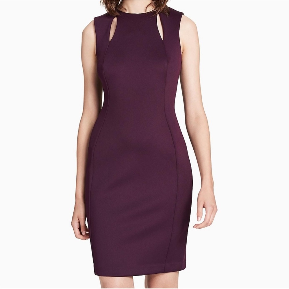 Calvin Klein Sheath Dress in Eggplant